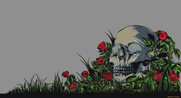 скелет с цветами