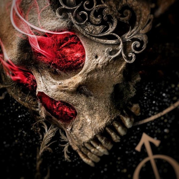 черепа и розы