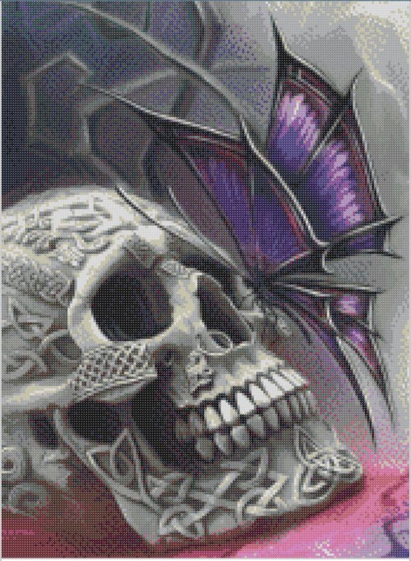 бабочка с черепами