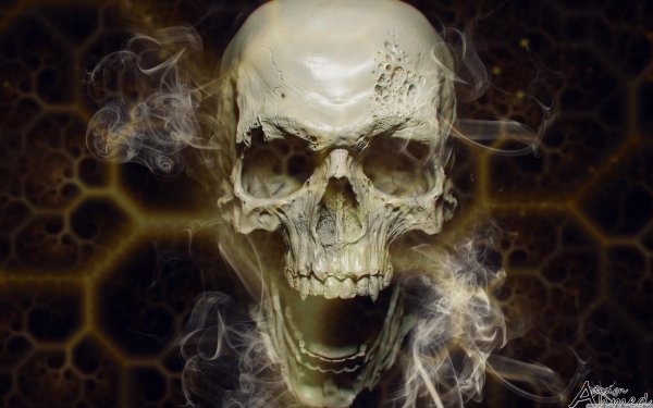 красивые черепа