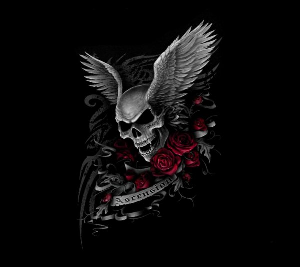 черепа эскиз