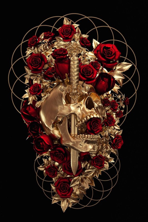 красивые черепа