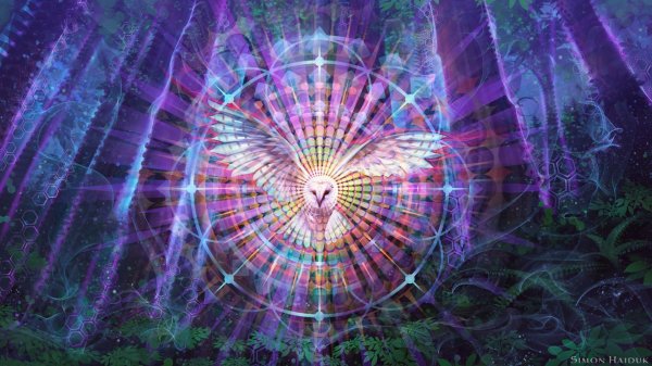 хроники акаши пробуждение силы