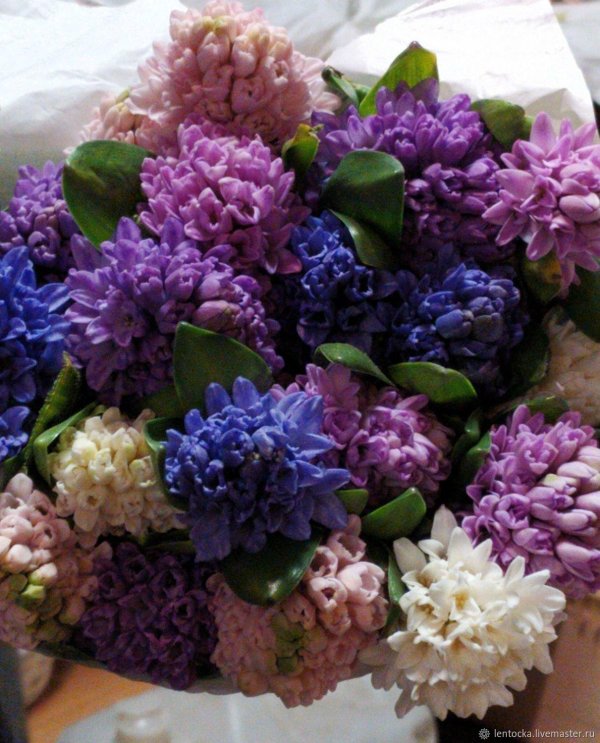 букет гиацинты и тюльпаны