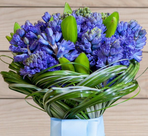 букет синих гиацинтов