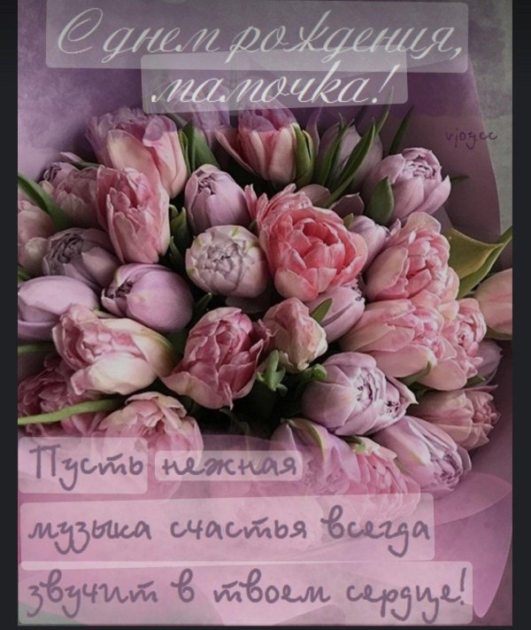 пионовидные тюльпаны