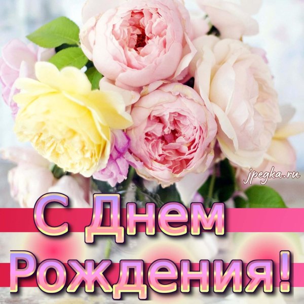 нежные пионы