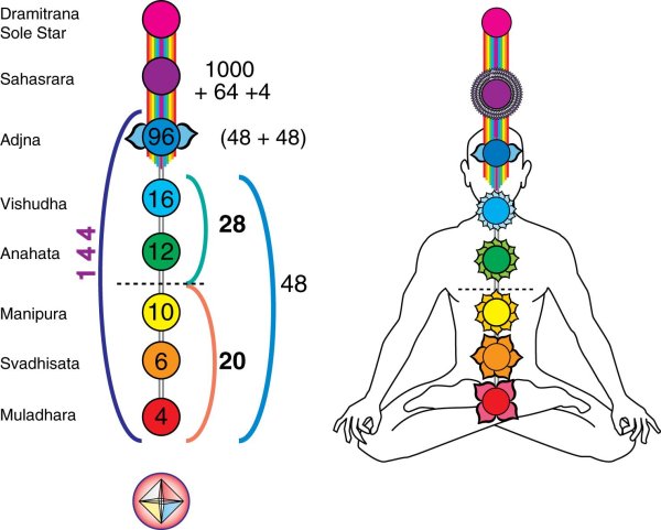 чакры схема расположения