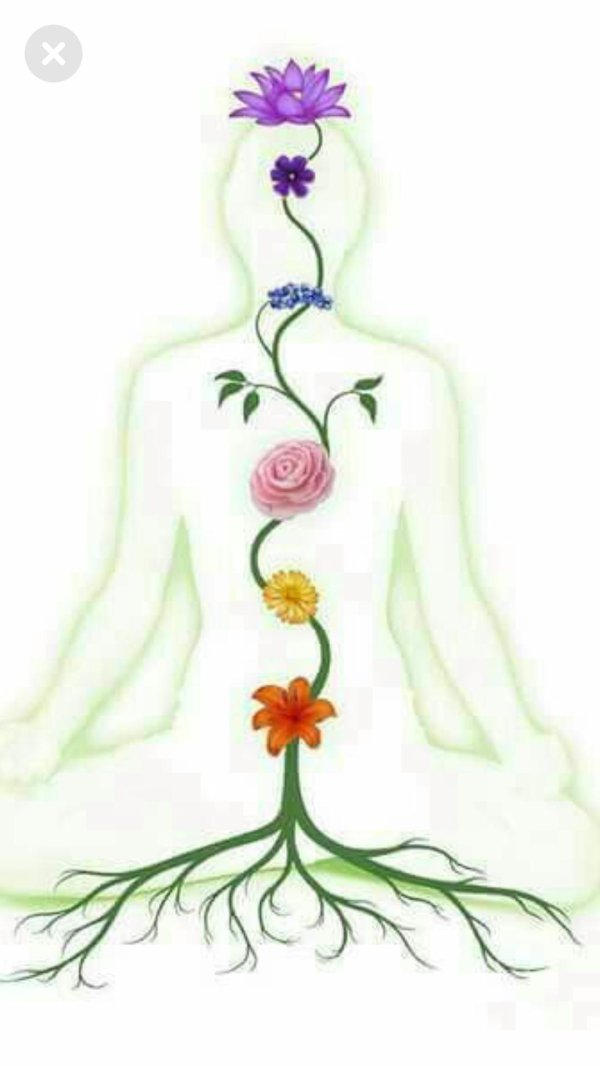 кундалини йога чакры