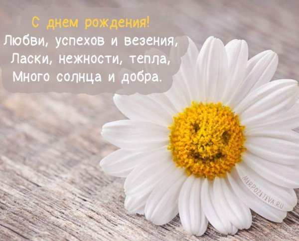 поздравления с днём рождения девушке ромашки