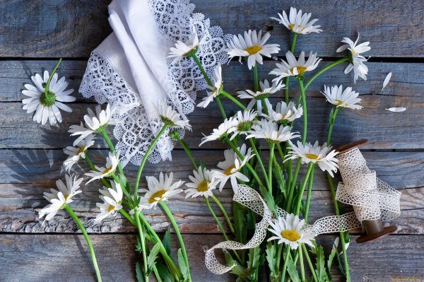 букет ромашек