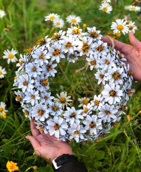 с ромашками