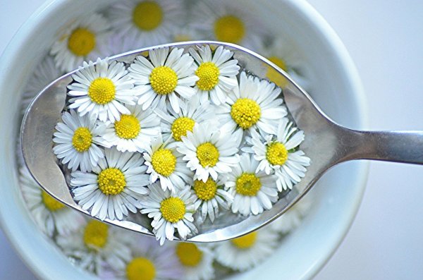 chamomile infusion