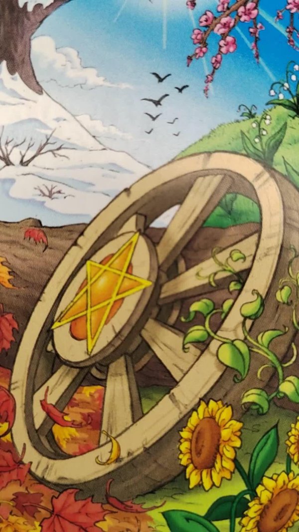 аркан колесо фортуны