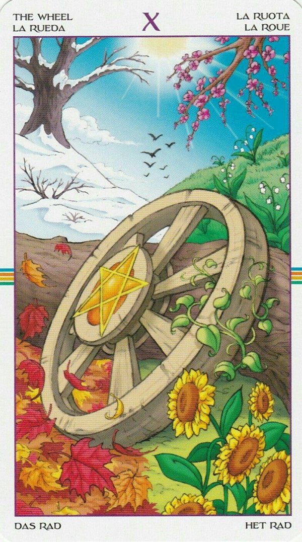 таро колесо года аввалон ло скарабео