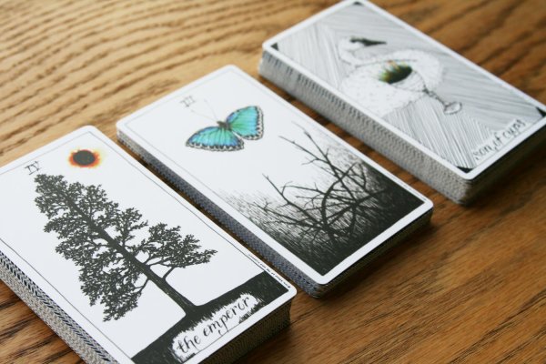 the wild unknown tarot дикое неизвестное таро