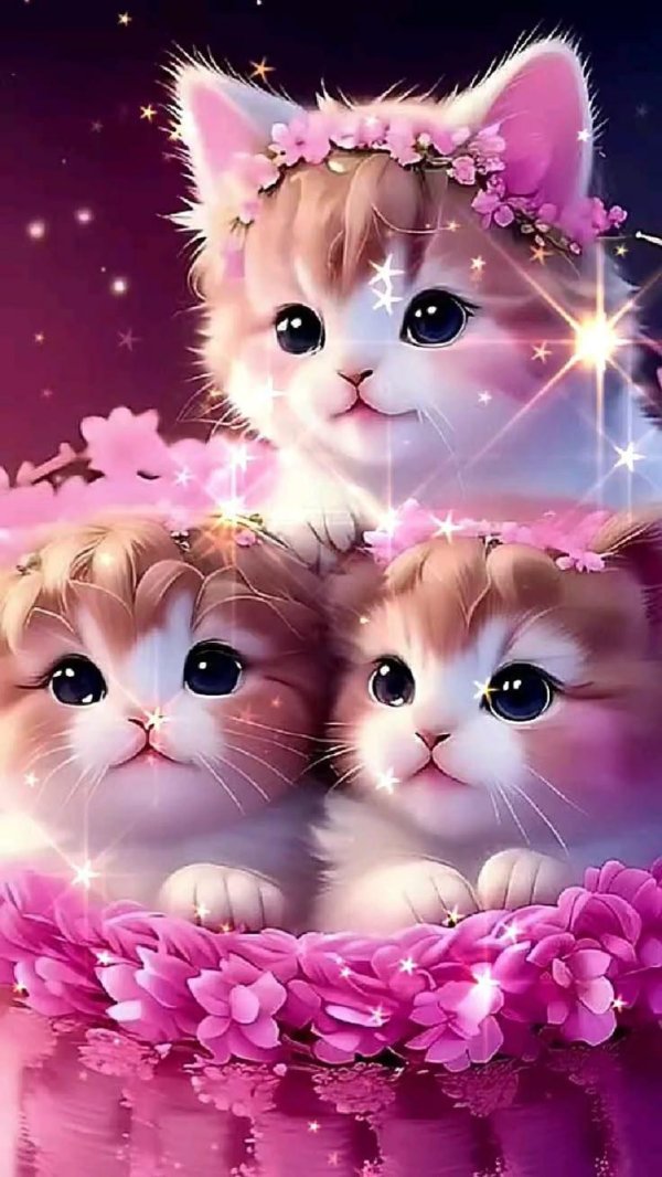 очаровательные котята