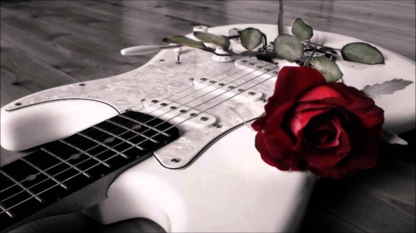 электрогитара и цветы