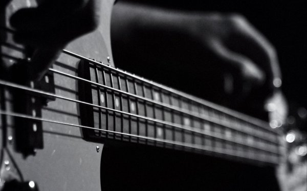 басгитариста басист басгитара