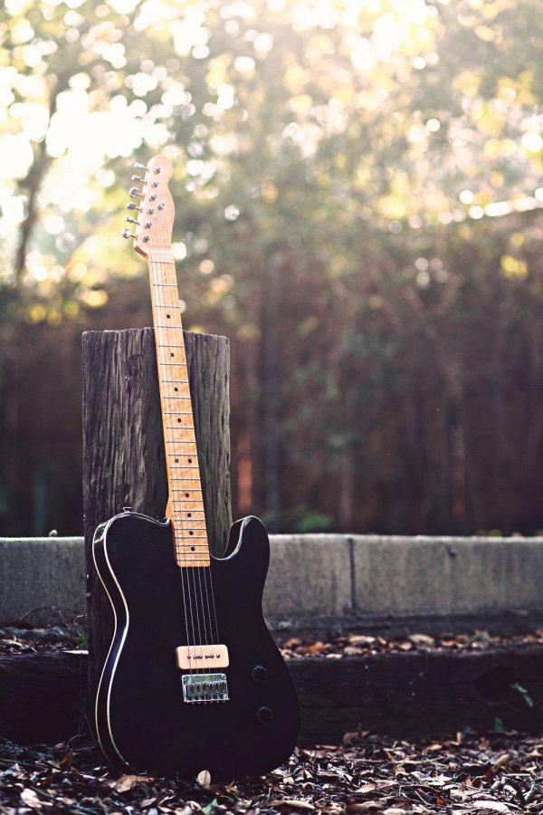 esp telecaster black