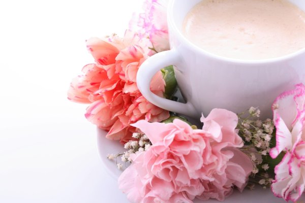 нежного утра