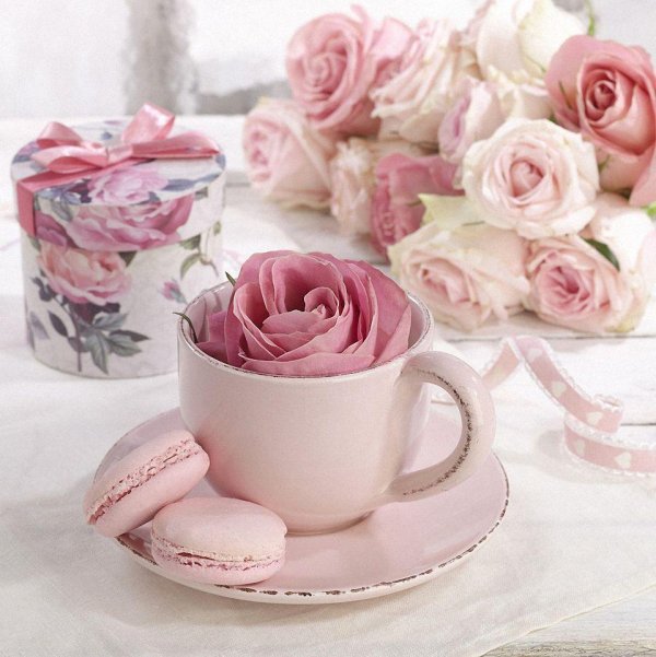 нежного утра