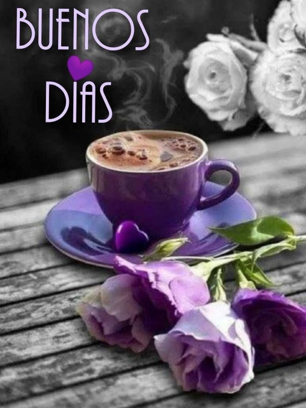 доброе утро романтика природа