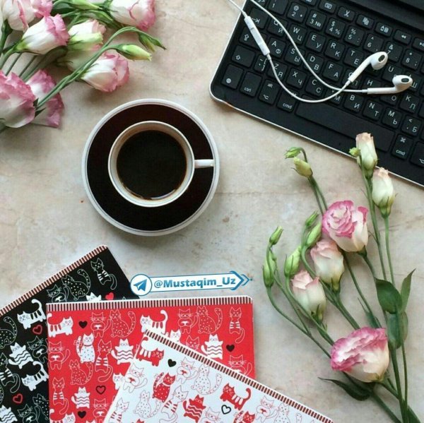 эустома цветок