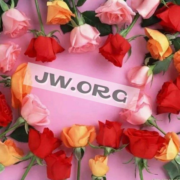 розы для тебя