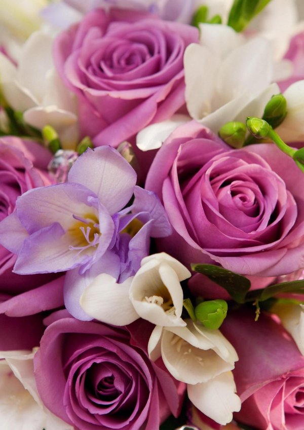 букет красивый