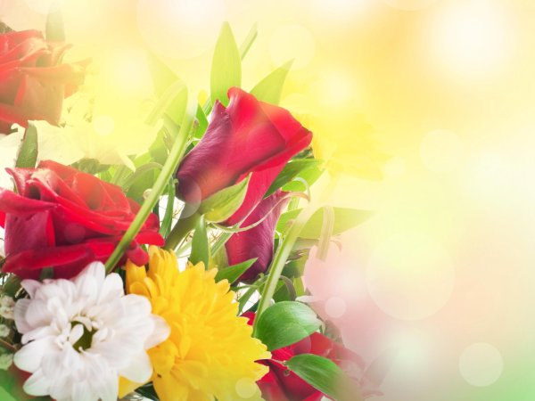 фон для поздравлений