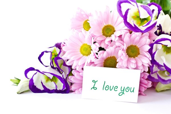 цветок красивый