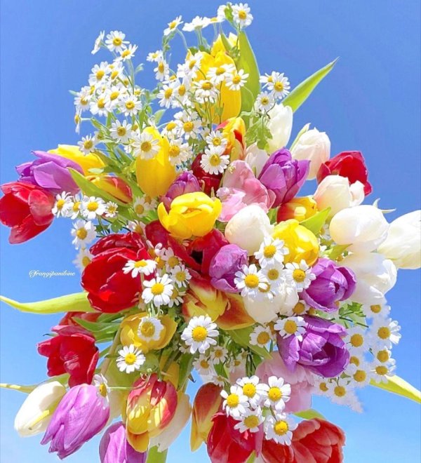 цветочные букеты