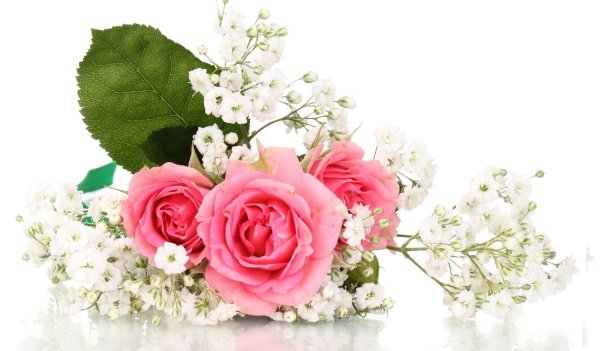 красивые букеты на белом фоне