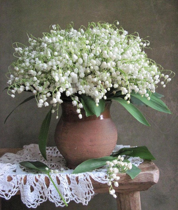 цветок ландыш