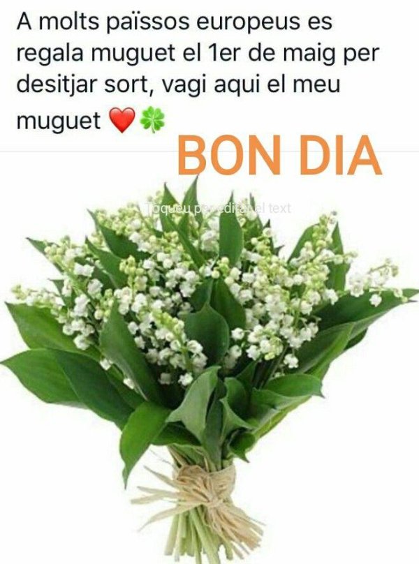 праздник ландышей