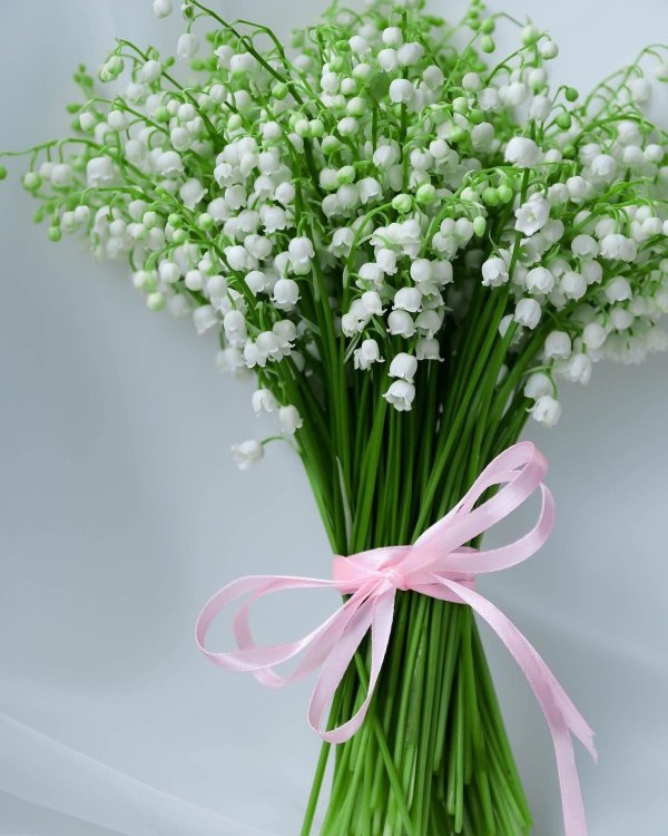 весенний ландыш