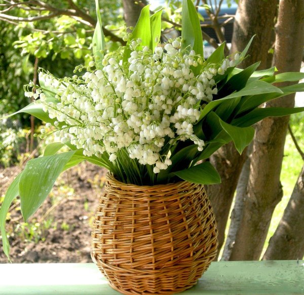 ландыши в корзинке