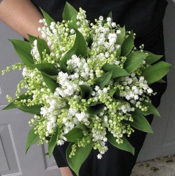 букет ландышей