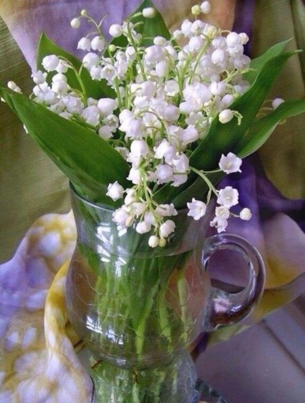 доброе утро ландыши