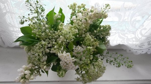 сирень жасмин черемуха