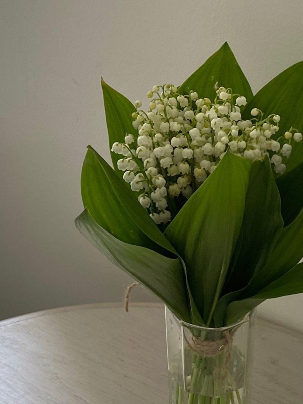 цветок ландыш