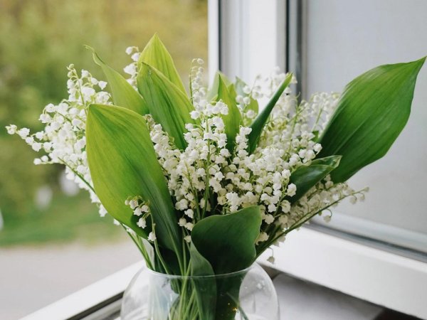 ландыши в вазе