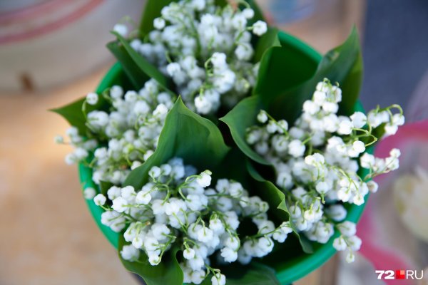 цветок ландыш