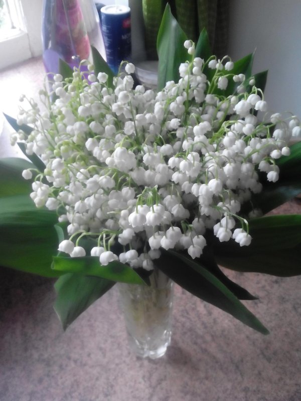 ландыши майские