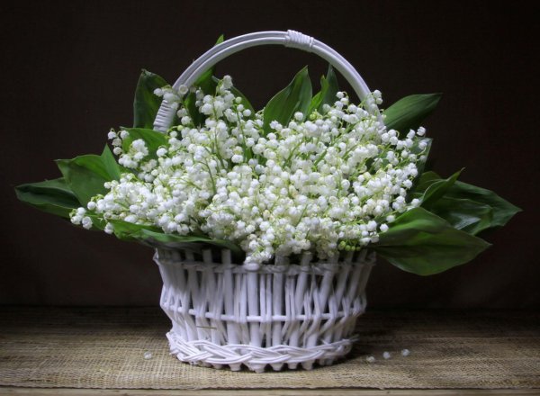 ландыши в корзине