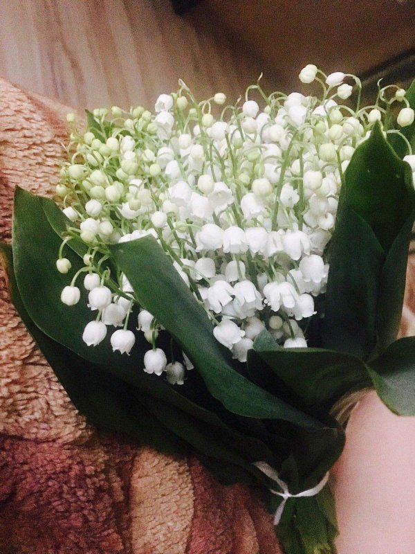 ландыши майские