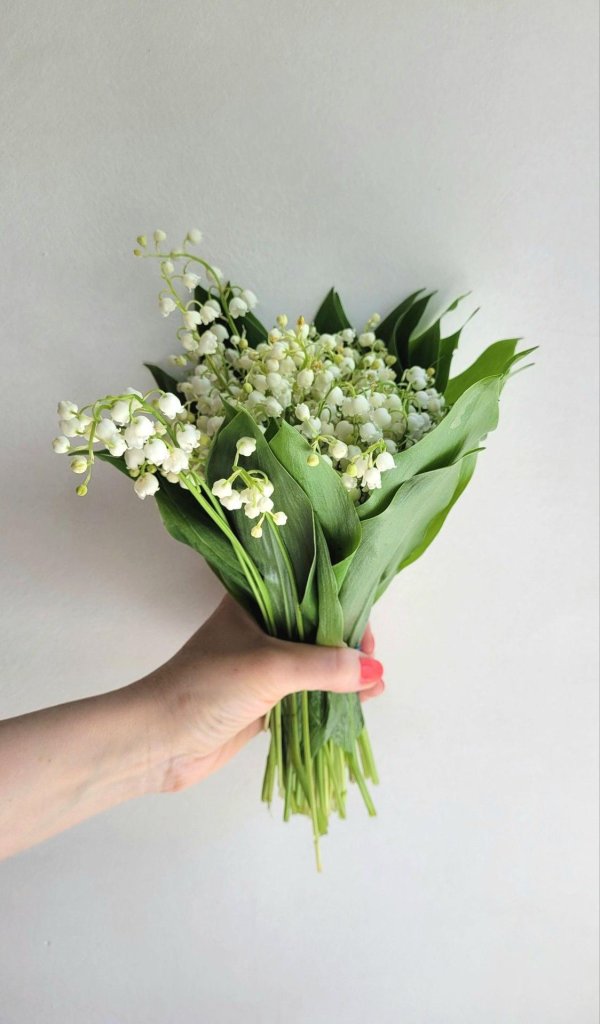 ландыши майские