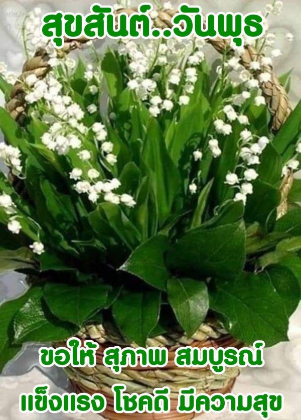 цветок ландыш