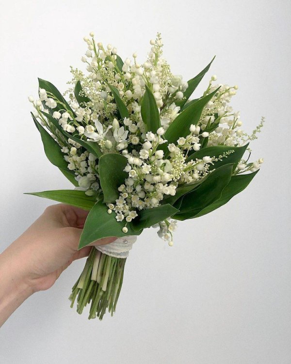 ландыш майский букетик